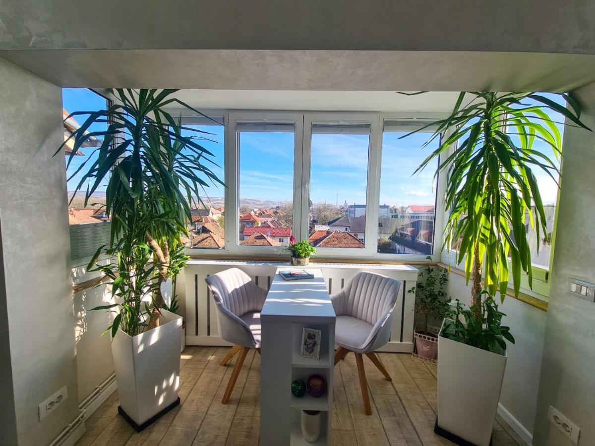 Elisa'S Place Făgăraş Exteriér fotografie